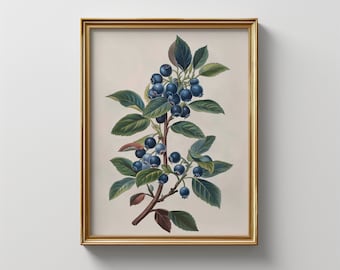 Vintage Blue Berries Botanical Print: Rustic Cottagecore Wall Art (Digital Download)