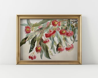 May include: A framed botanical illustration of a branch of red and yellow flowers with green leaves. The flowers are in bloom and have a delicate, feminine appearance.