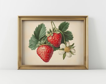 May include: A vintage botanical illustration of two red strawberries with green leaves and a white flower with a yellow center.