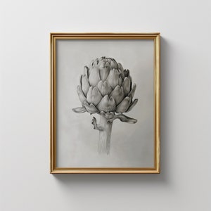 Schizzo di carciofo vintage / Disegno botanico di carciofo / Download digitale / Arte murale rustica / Decorazione da cucina mediterranea / Arte culinaria