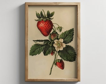 Vintage botanische print aardbei: rustieke keukenmuurkunst (digitale download)