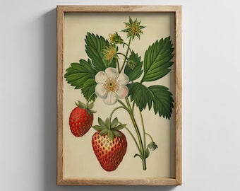 Vintage botanische print aardbei: Cottagecore Kitchen Art (digitale download)
