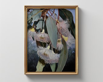 Eucalyptus & Gum Blossom Vintage Print: Australian Bush Art (Digital Download)