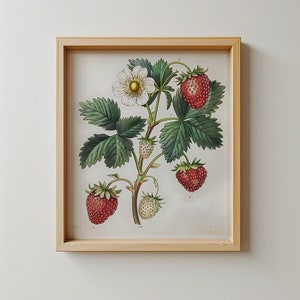 Vintage Strawberry Botanical Print: Cottagecore Kitchen Wall Art (Digital Download)