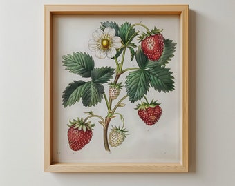 Vintage botanische print aardbei | Rustieke antieke stijl afdrukbare kunst | Landelijke boerderij |Cottagecore keukenmuurkunst | Digitale download