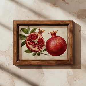 Vintage Pomegranate Print | Rustic Farmhouse Kitchen Art | Country Farmhouse Botanical Fruit Wall Art | Cottagecore Decor | Digital Download