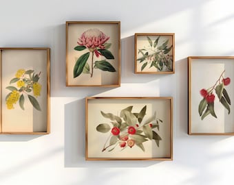May include: Five framed botanical prints featuring different types of flowers and plants. The prints are in a light brown frame with a white background. The flowers are in shades of pink, red, yellow, and white.