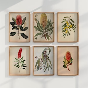 May include: Set of six framed botanical prints featuring various red and yellow flowers. The prints are in a simple, modern style and would look great in any home.