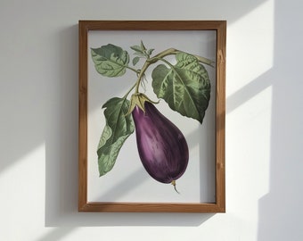 Vintage Eggplant Botanical Print: Kitchen Wall Art (Digital Download)
