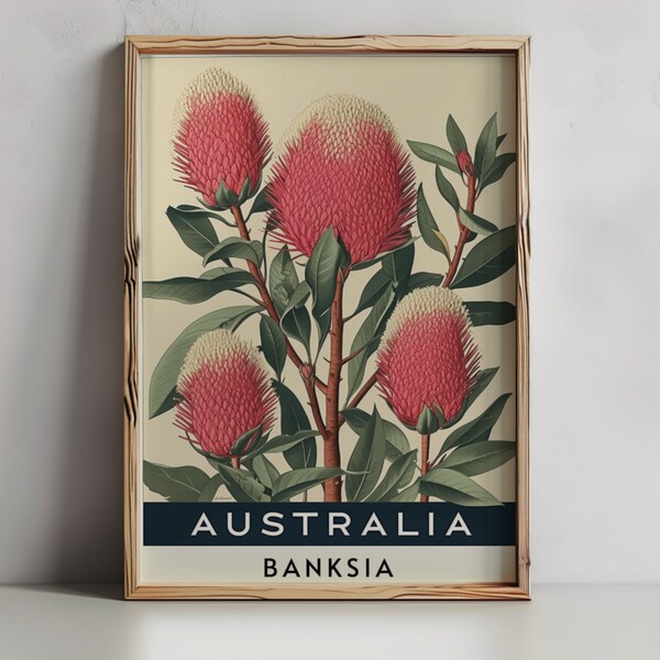 Vintage Banksia Botanical Australian Flower Art | Digital Download | Botanical Flower Print |