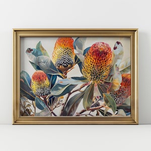 Vintage Banksia Print: Australian Native Flower Landscape (Digital Download)