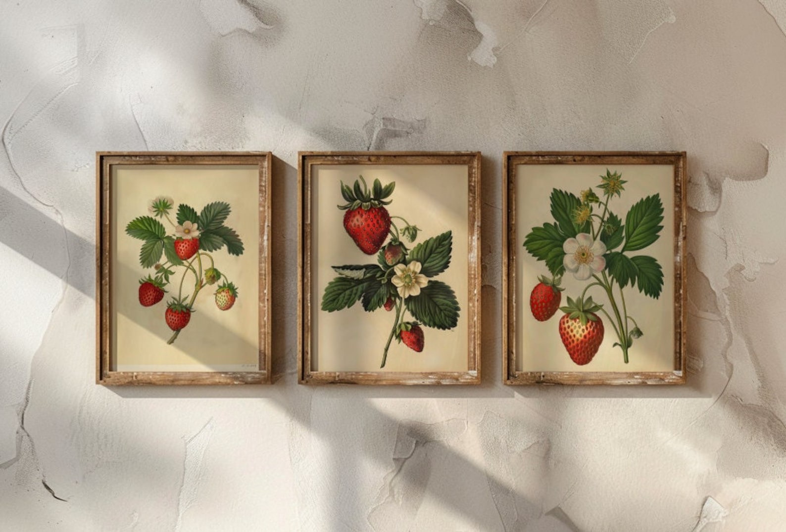 Vintage Strawberry Collection Set Of Three | Botanical Strawberry Wall Art | Digital Download