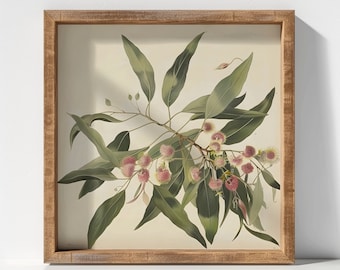 May include: Square framed botanical print featuring a detailed illustration of eucalyptus branches with green leaves and pink and yellow flowers. The artwork is set against a cream-colored background and framed in a natural wood.