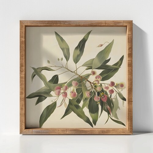 vintage eucalyptus | Flore botanique australienne | Oeuvre d'art australienne de gommier | Téléchargement numérique