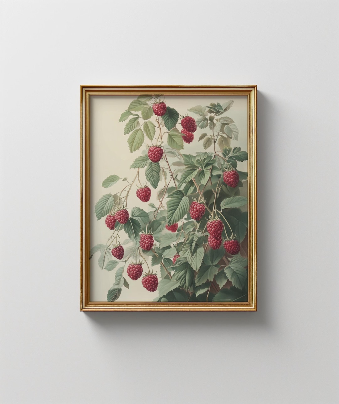 Botanical With Raspberry Patterns Vintage Raspberry Botanical Print: Rustic Farmhouse Kitchen Art ...