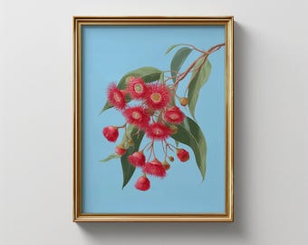 Eucalyptus & Red Gum Blossom Print: Australian Native Art (Digital Download)