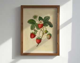 Vintage aardbei | Digitale afdruk | Rustieke fruitkunst aan de muur | Cottagecore-aardbei | Keuken Woondecoratie | Afdrukbaar
