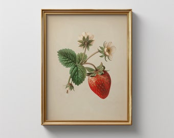 Vintage botanische print aardbei: rustieke boerderijmuurkunst (digitale download)
