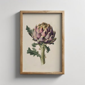 Stampa vintage di carciofi botanica / Download digitale / Arte del carciofo / Amanti del carciofo / Decorazione rustica mediterranea per la cucina / Arte culinaria