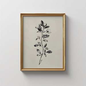 Vintage Botanical Flower Sketch: Black & White Farmhouse Art (Digital Download)