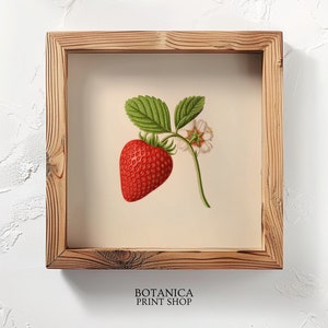May include: A framed botanical illustration of a single red strawberry with green leaves and a white flower. The frame is made of natural wood.
