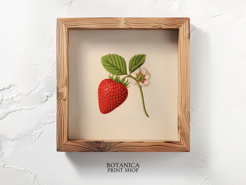 May include: A framed botanical illustration of a single red strawberry with green leaves and a white flower. The frame is made of natural wood.