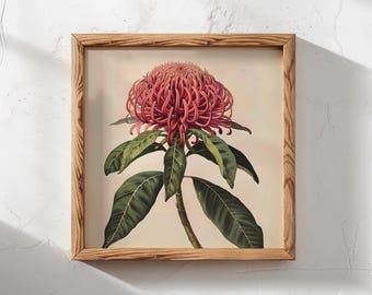 May include: A framed botanical illustration of a pink flower with green leaves. The flower is in the center of the image and is surrounded by leaves. The frame is made of wood and has a natural finish.