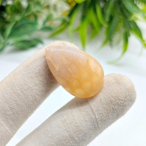 100% Genuine Quality Natural Fossil Coral Gemstone, Handmade Cabochon, Unisex Stones, Unique Quality fossil Coral Flat Back Polished Stone