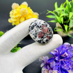 Op de afbeelding: Een ovale steen in wit en zwart met rode en roze insluitsels. De steen wordt in een hand gehouden.
