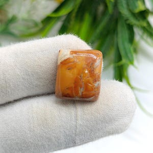 Puede incluir: Una gema rectangular pulida, con una mezcla de tonos naranja, marrón y blanco. La piedra tiene una superficie lisa y brillante y parece ser un mineral natural. La gema se sostiene en un guante blanco, con follaje verde en el fondo.
