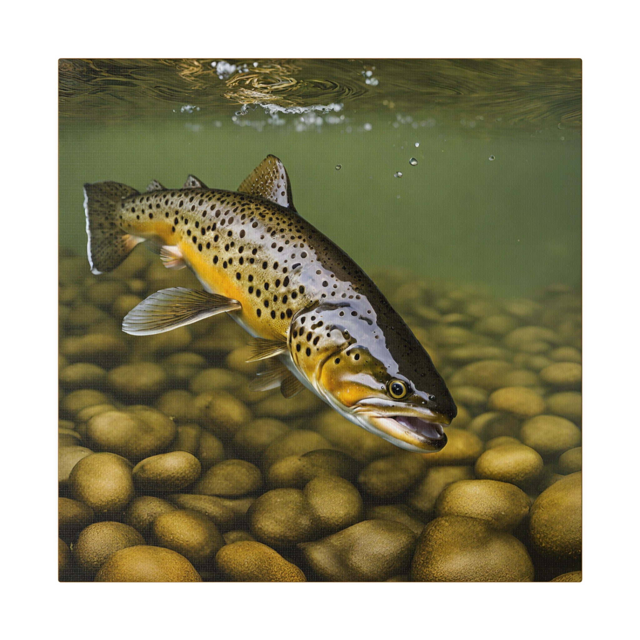 Brown Trout Canvas 