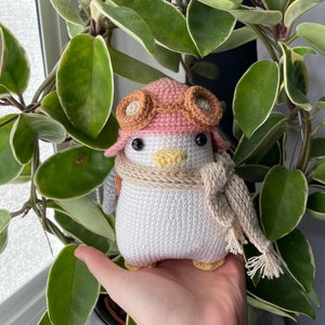 Pilotenmöwe | PDF Häkel-Amigurumi-Muster | Vogel-Plüschtier mit abnehmbarem Zubehör, Mütze, Schal, Schutzbrille, Rucksack