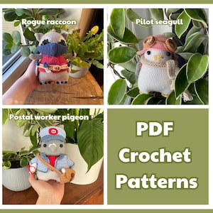 Mapache rebelde, gaviota piloto, paloma cartero / Paquete de patrones de crochet amigurumi en PDF / Lindo peluche con accesorios extraíbles