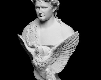 3D Printed Napoleon Bonaparte Bust: Neoclassical Desk Decor