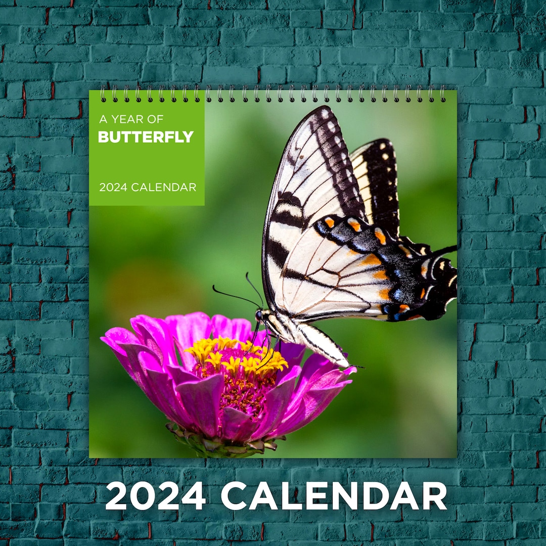 Butterfly Calendar 2024 Butterfly Love Calendar 2024 Wall Etsy