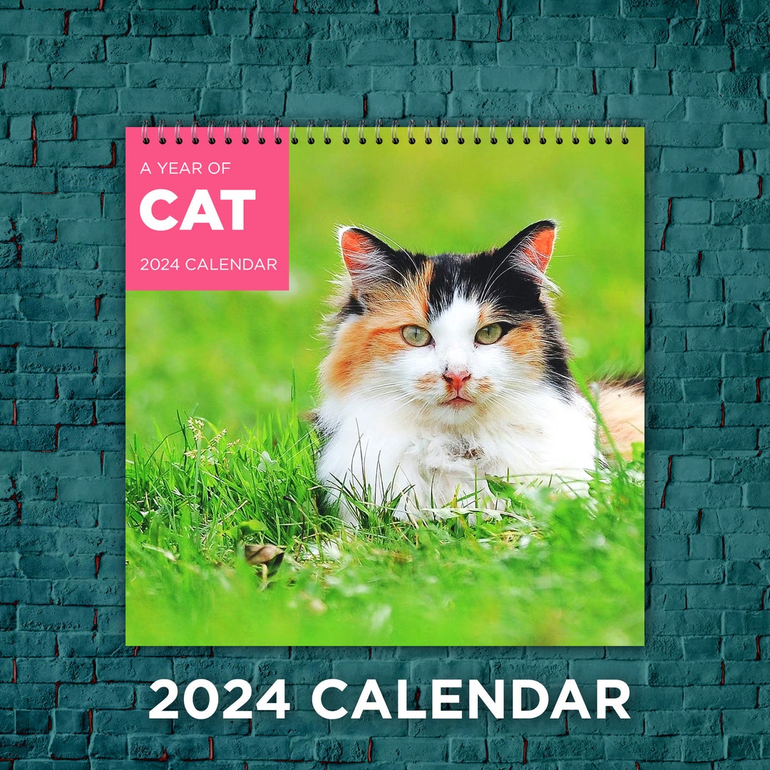Cat Calendar 2024 Cat Love Calendar 2024 Wall Calendar Etsy UK