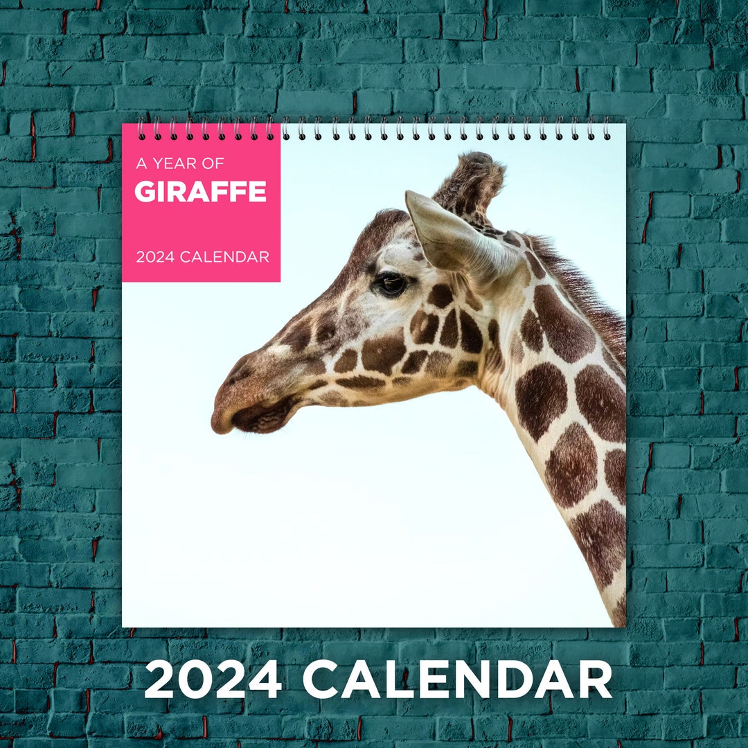 Giraffe Calendar 2024 Giraffe Love Calendar 2024 Wall Etsy