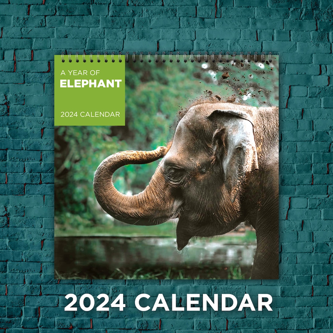 Elephant Calendar 2025 Elephant Love Calendar 2025 Wall Etsy