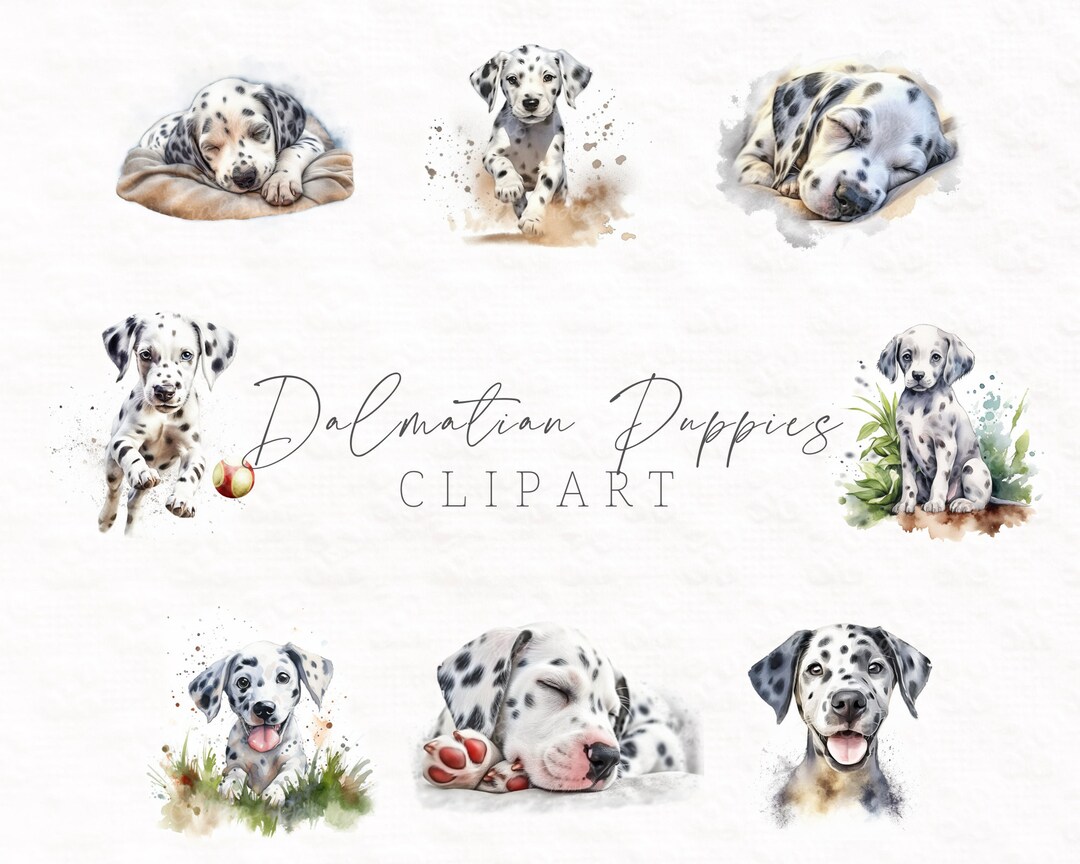 Dalmatian Puppies Clipart Printable Scrapbook Paper Planner Clipart ...