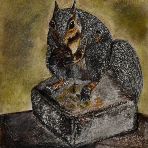 Pastel Art Squirrel With Black Walnut