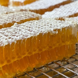 Raw Organic Comb Honey ,all Natural Pure Honeycomb, Eco Gift ,450 Gr-free  SHIPPING 