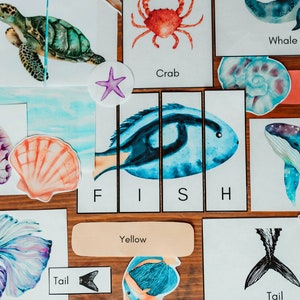 Ocean Study, Toddler - PreK Unit Study, Summer and Spring Morning Work Activities, Homeschool