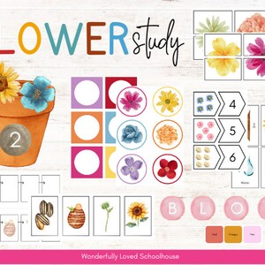 FLOWER Study Activity Bundle for Toddler - PreK, Summer and Spring Botanical Morning Work Activities, Homeschool Unit Study