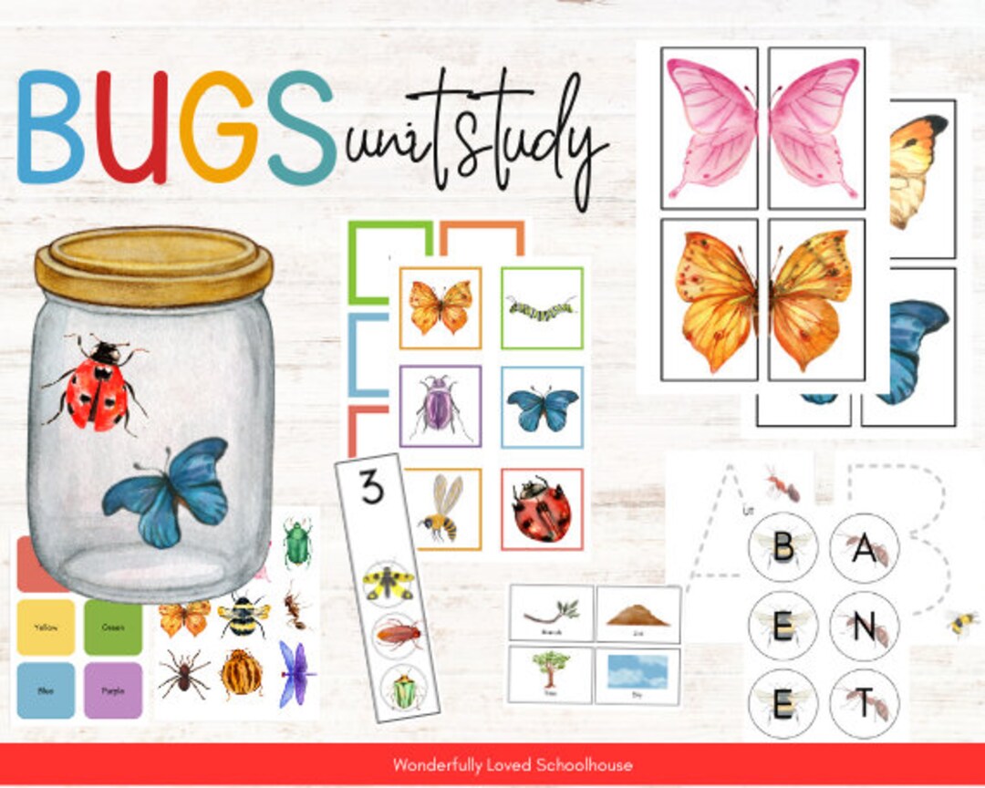 Insect Study Toddler  Prek Bug Morning Work Activities