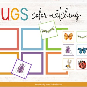 Bug Color Matching, Toddler - PreK, Insect Color Sorting, Bug Morning Work Activities, Homeschool, Unit Study