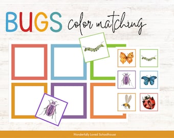 Bug Color Matching, Toddler - PreK, Insect Color Sorting, Bug Morning Work Activities, Homeschool, Unit Study