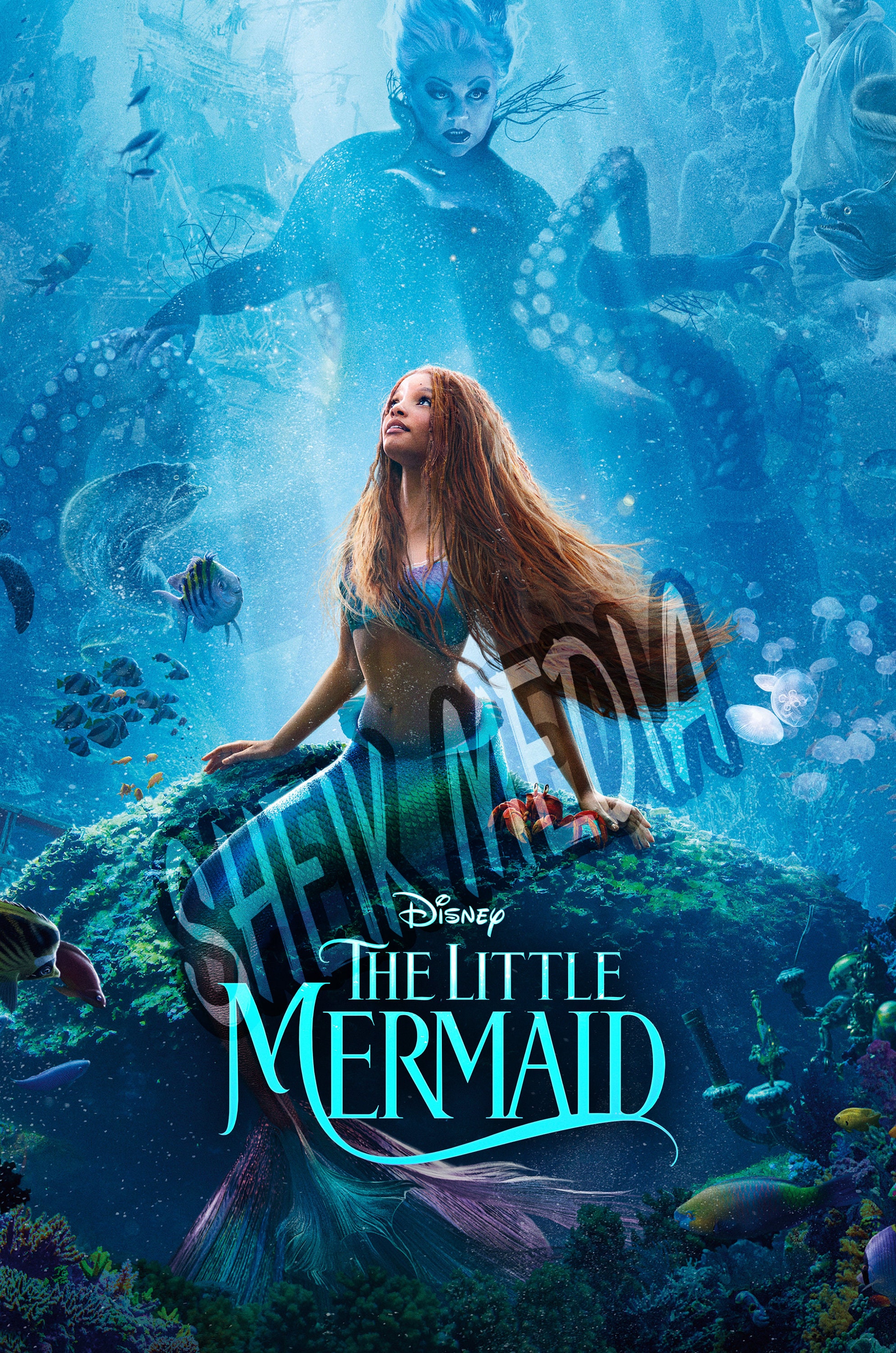 The Little Mermaid Poster
