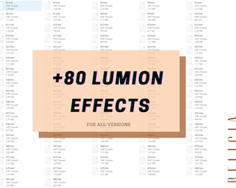 80+ Lumion Render Effects, Atmosphere and Realism (Digital Download)