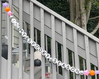TAYLOR SWIFT SPOOKY Friendship Bracelet Garland