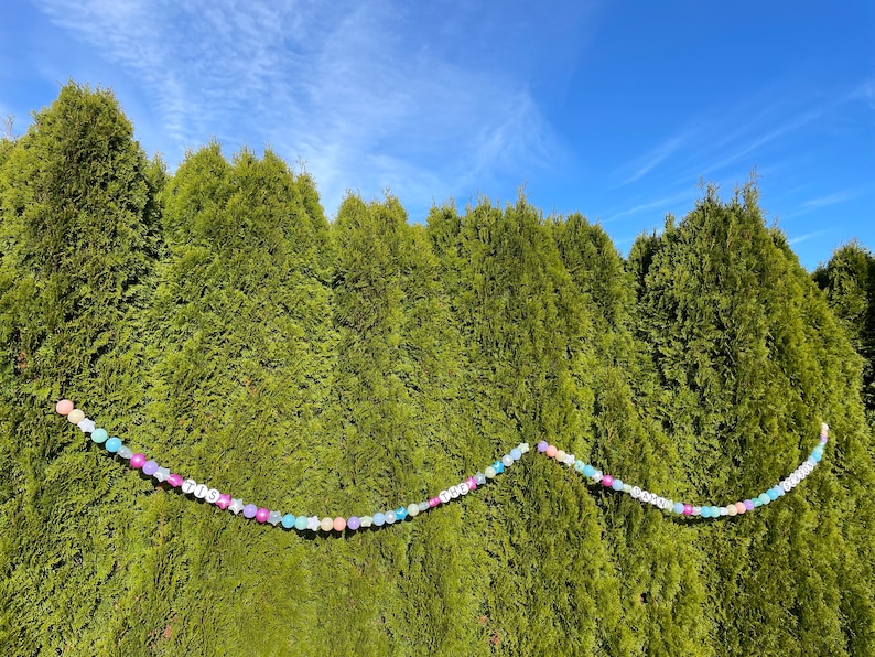 Pu&ograve; includere: Una ghirlanda di perline colorate che compone la parola "TINSEL" &egrave; appesa su uno sfondo di cespugli sempreverdi verdi.